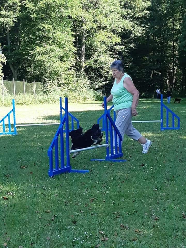 Aus dem Vereinsleben