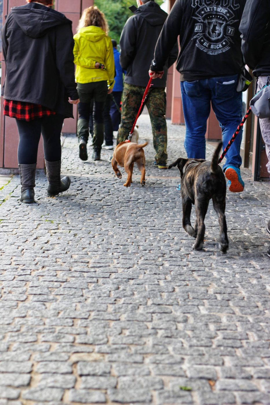 Auf dem Trainingsplatz